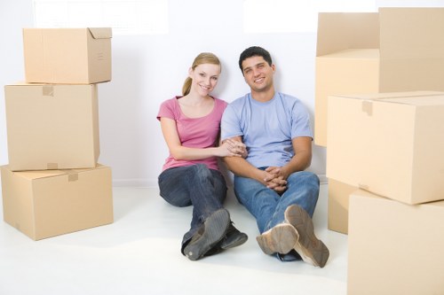 Local furniture storage options in Bowespark for moving and renovations